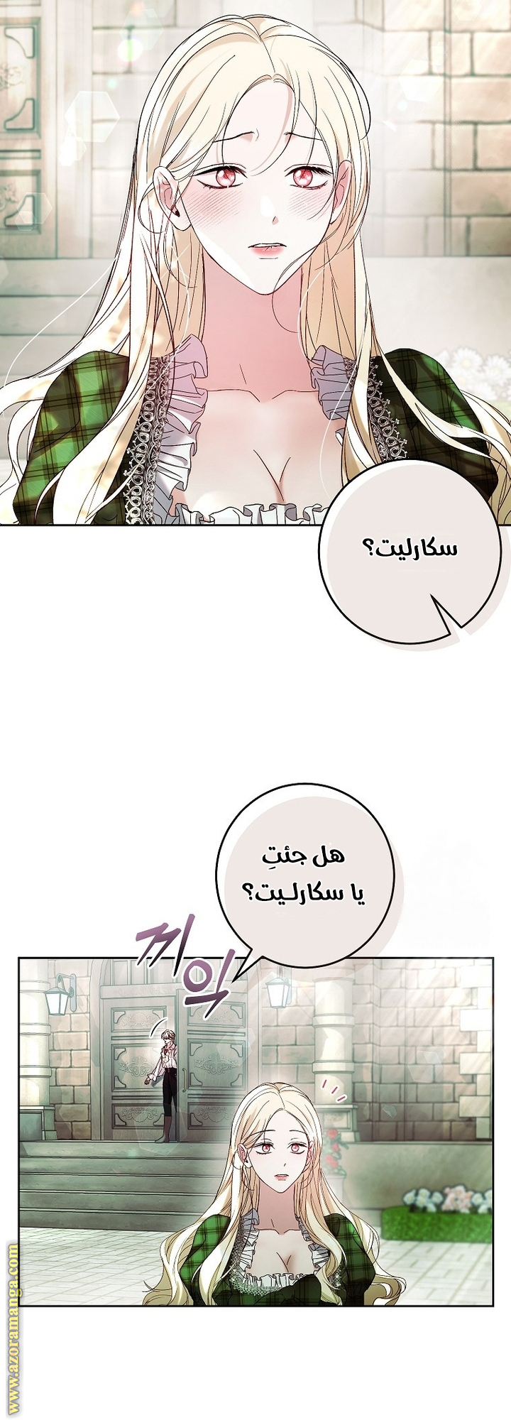 الصفحة 25