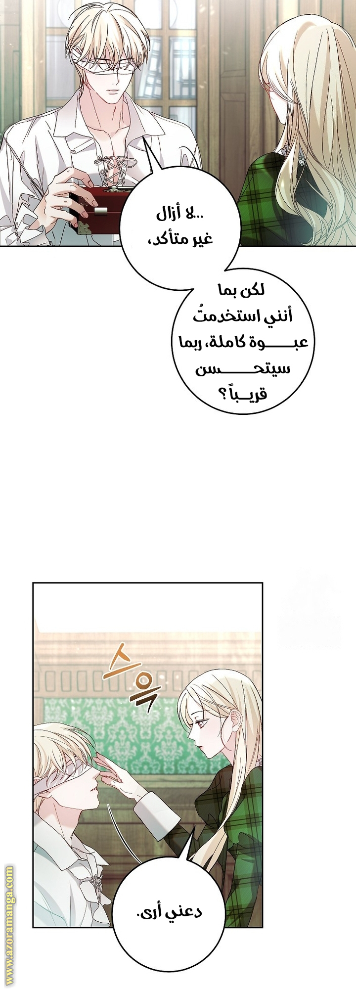 الصفحة 29