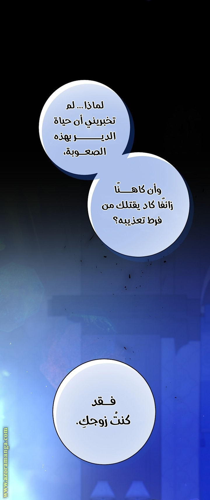 الصفحة 43