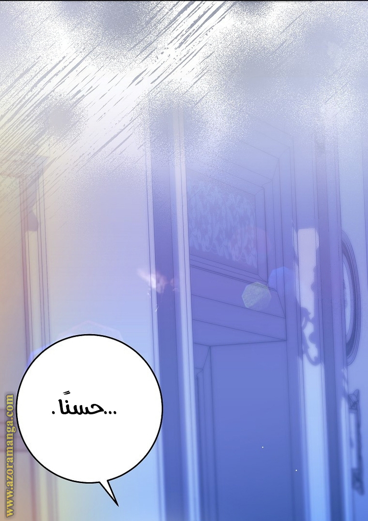 الصفحة 25