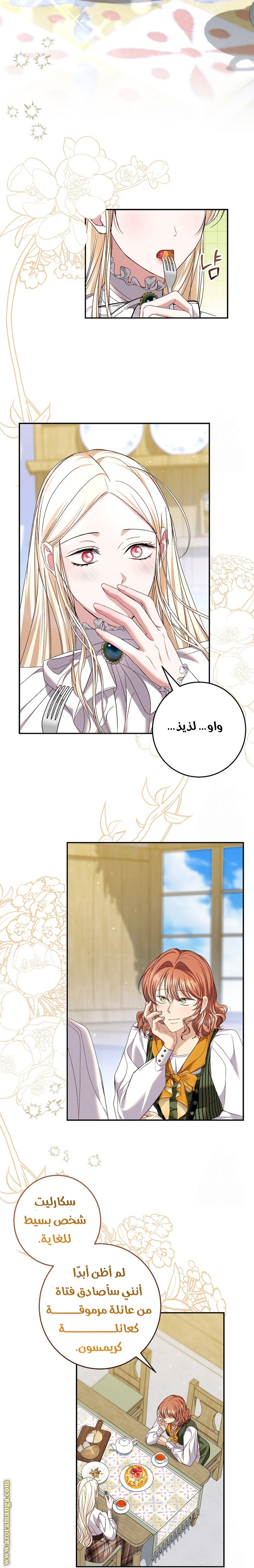 الصفحة 41