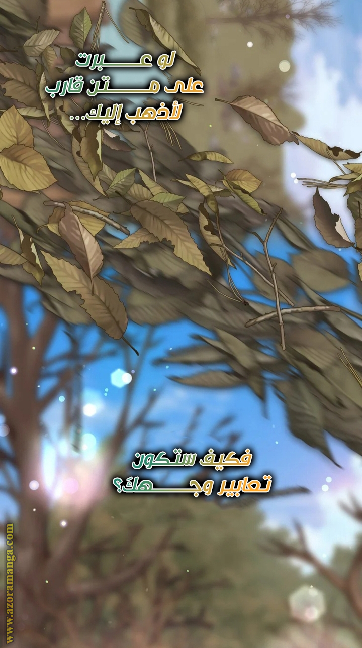 الصفحة 67