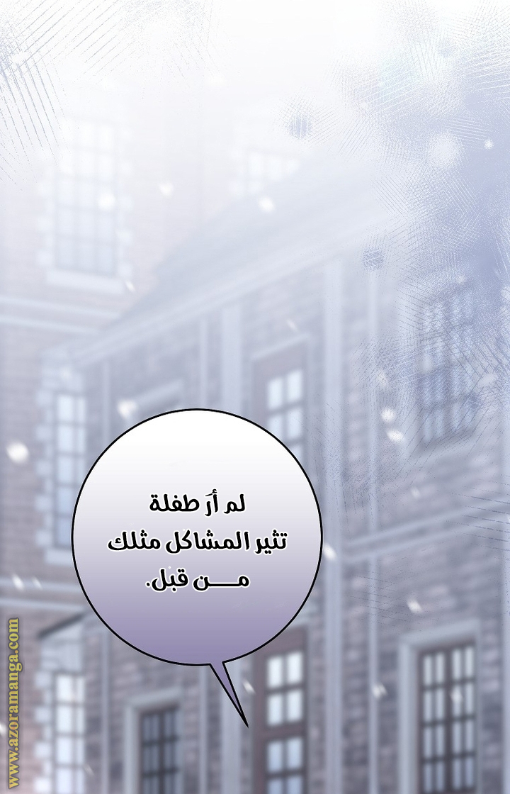 الصفحة 29