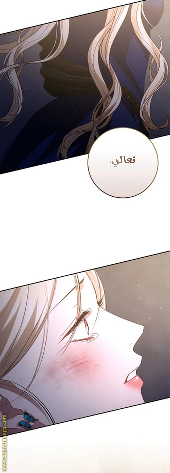الصفحة 79