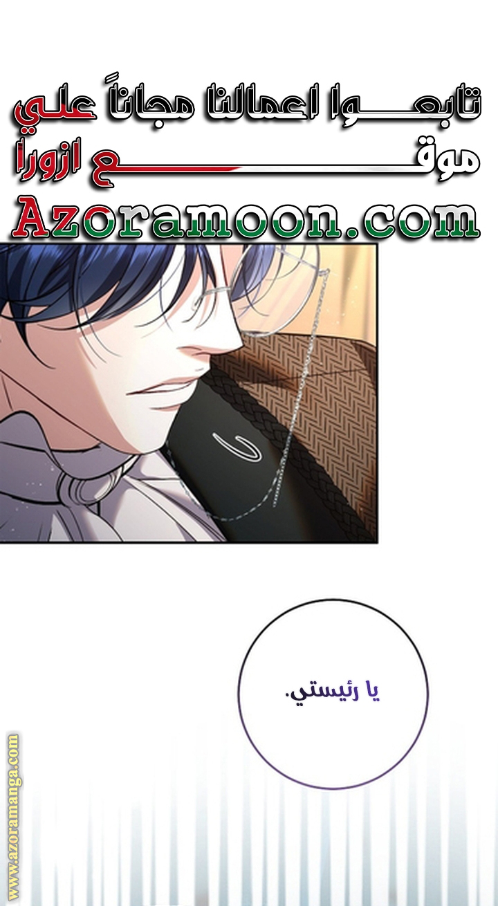 الصفحة 28