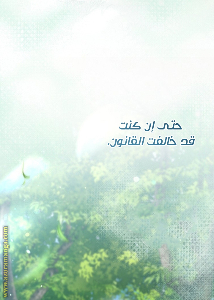 الصفحة 21
