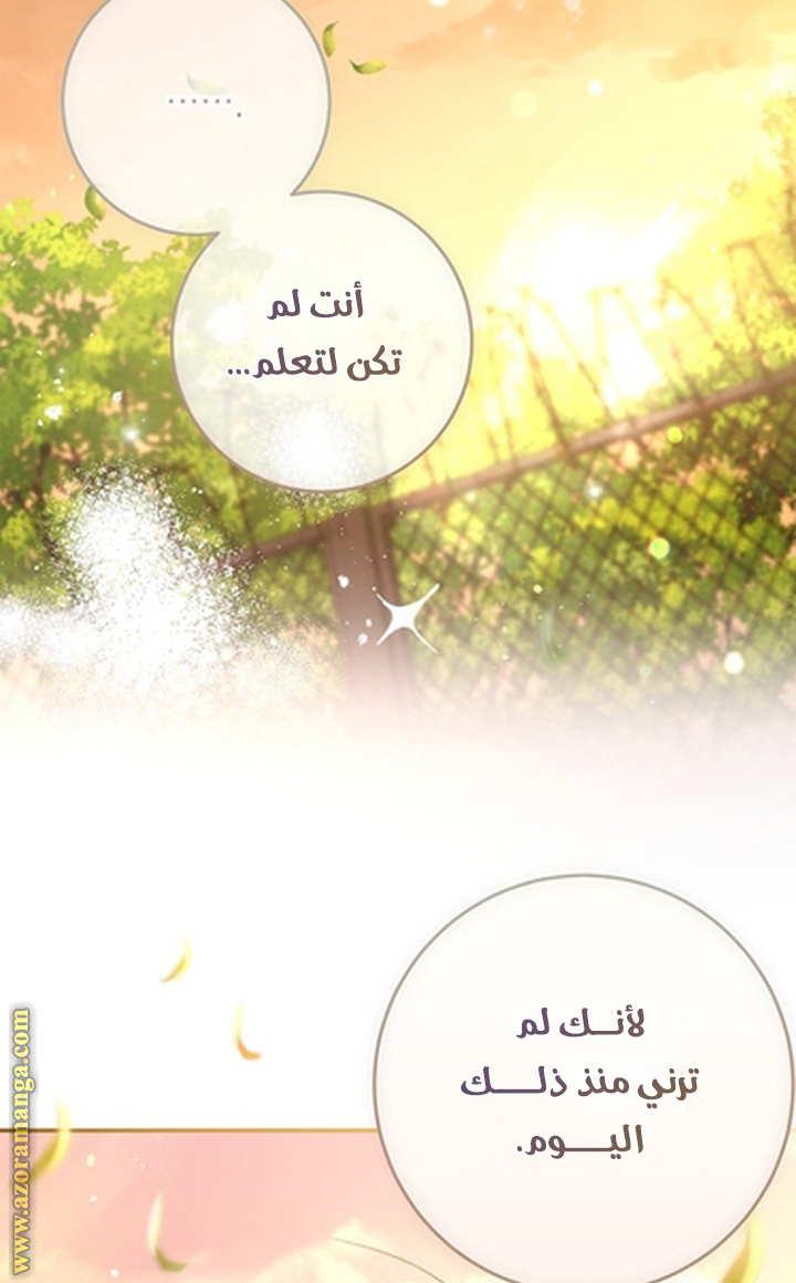 الصفحة 47