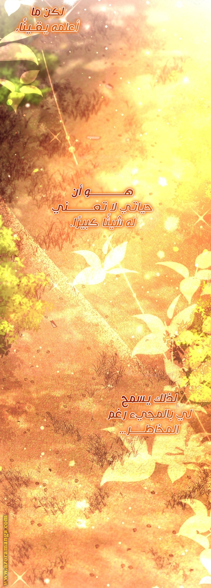 الصفحة 24