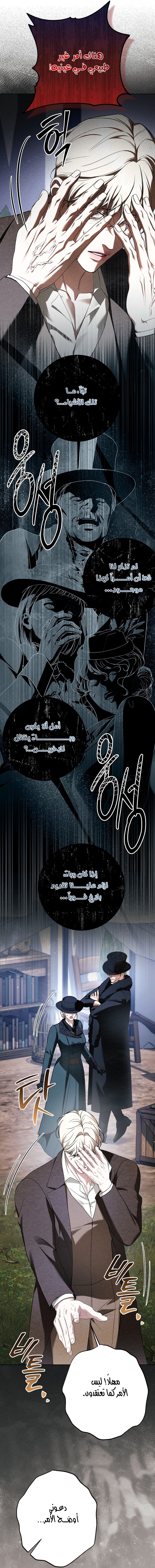الصفحة 13