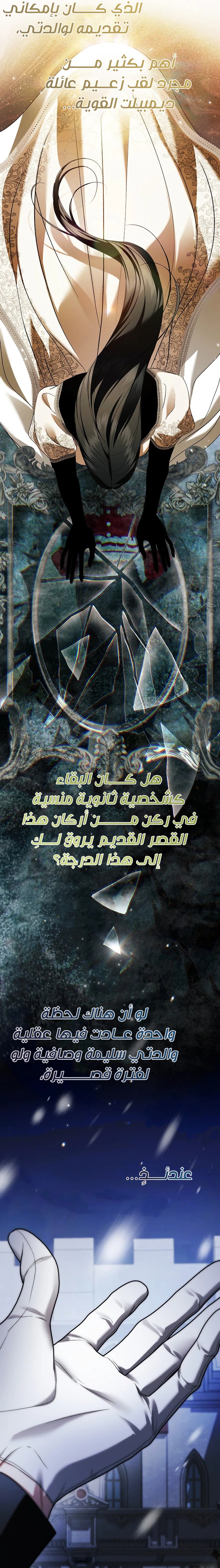 الصفحة 24