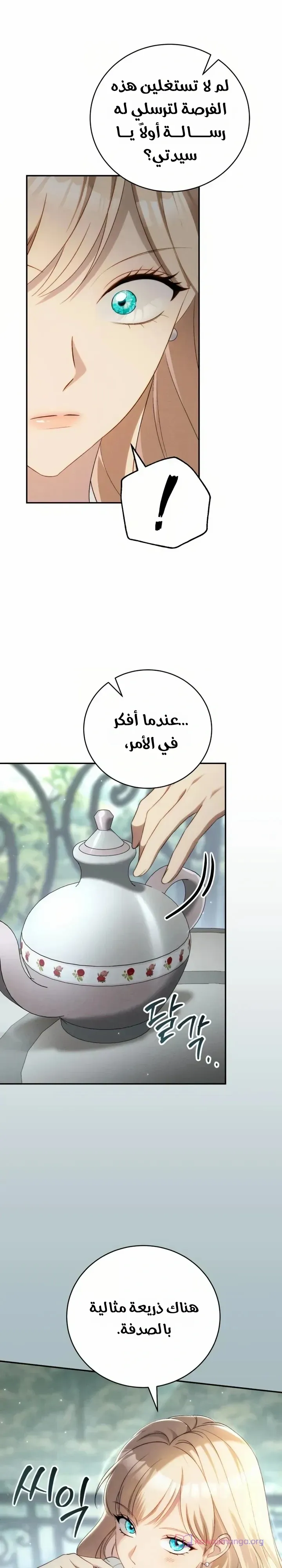 الصفحة 25