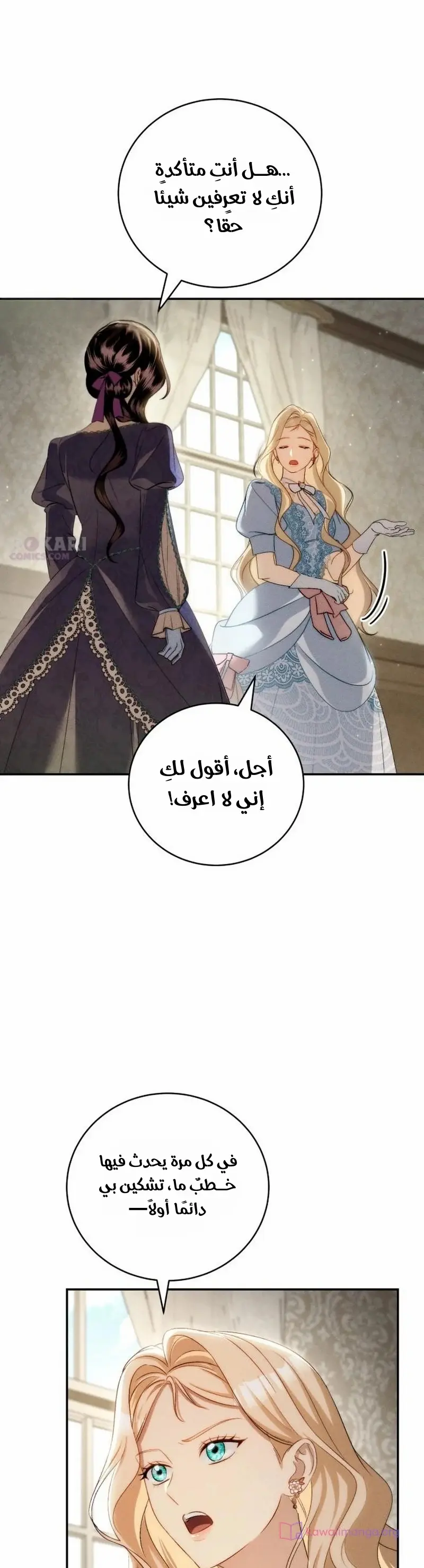 الصفحة 13