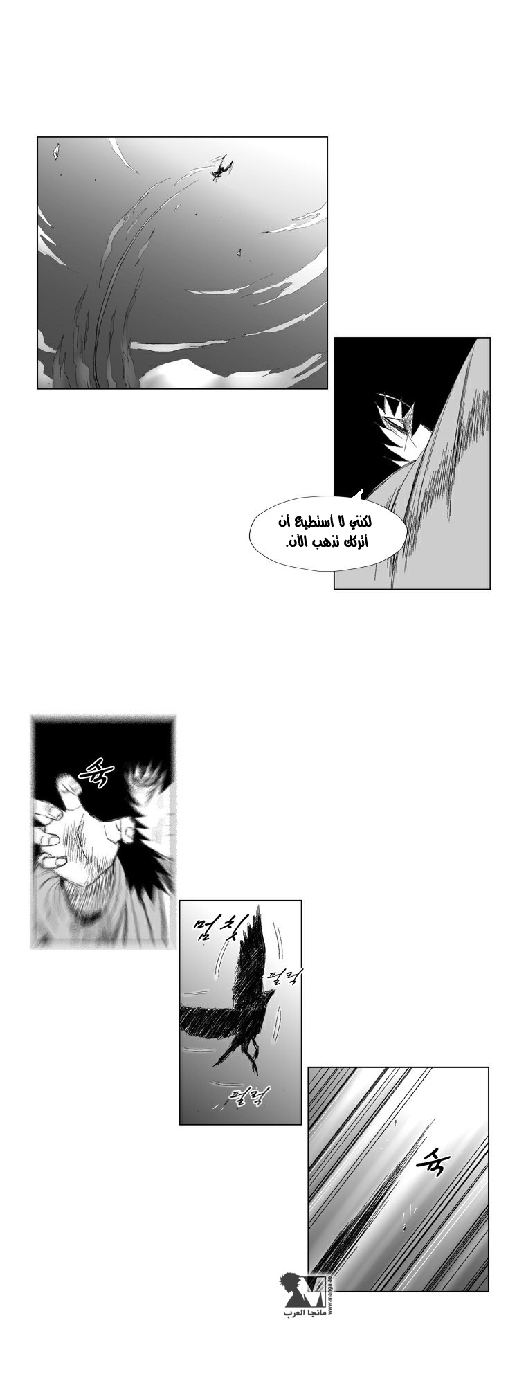 الصفحة 10