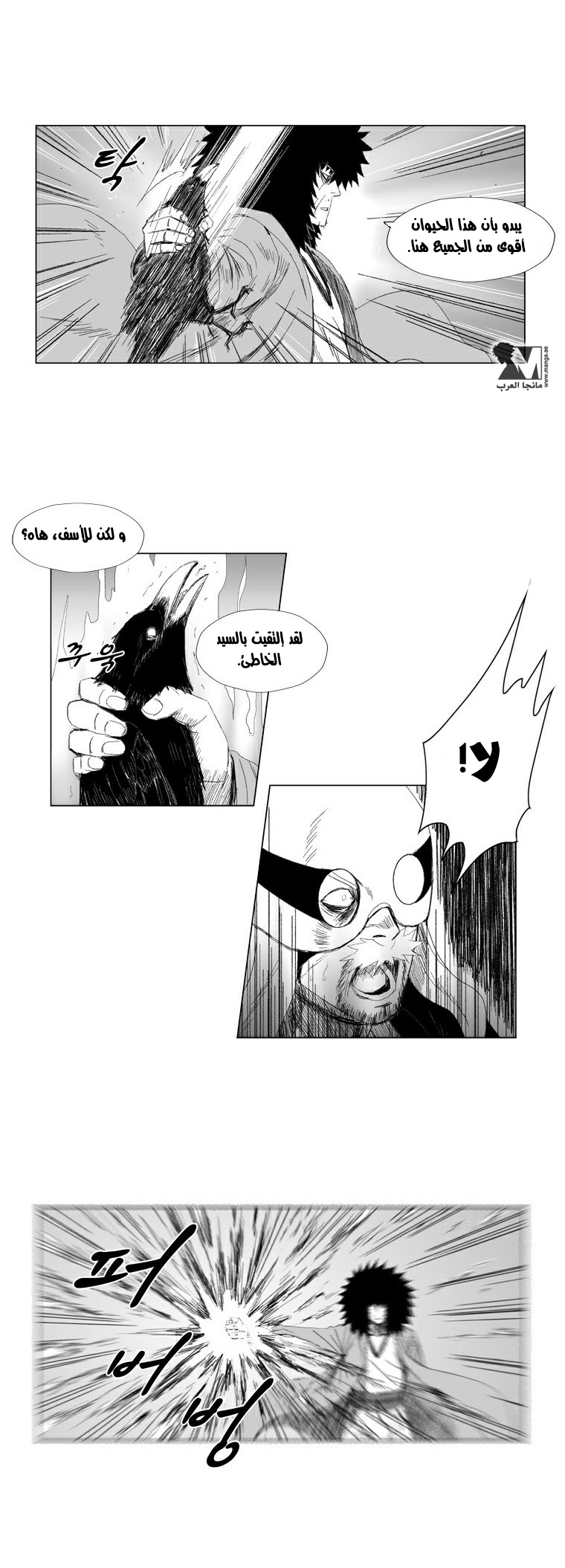 الصفحة 11