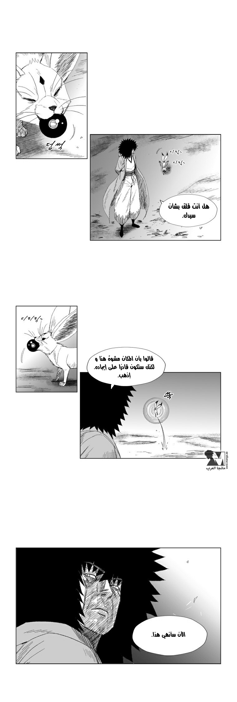 الصفحة 13