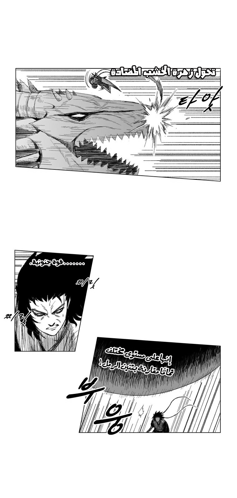 الصفحة 11