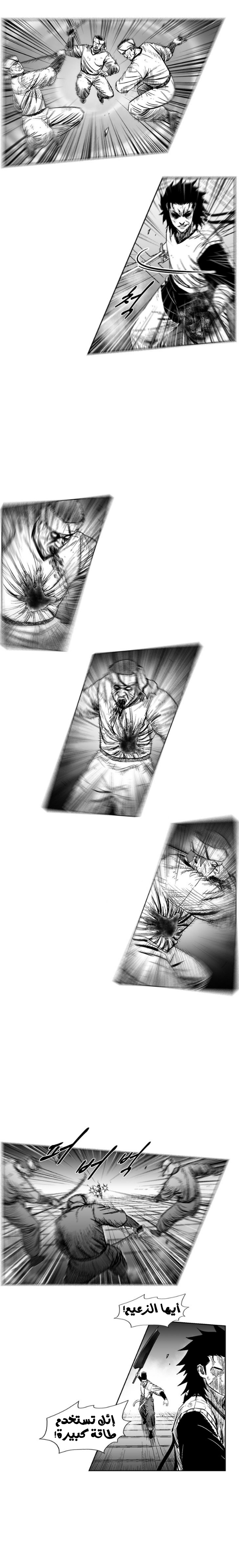 الصفحة 13