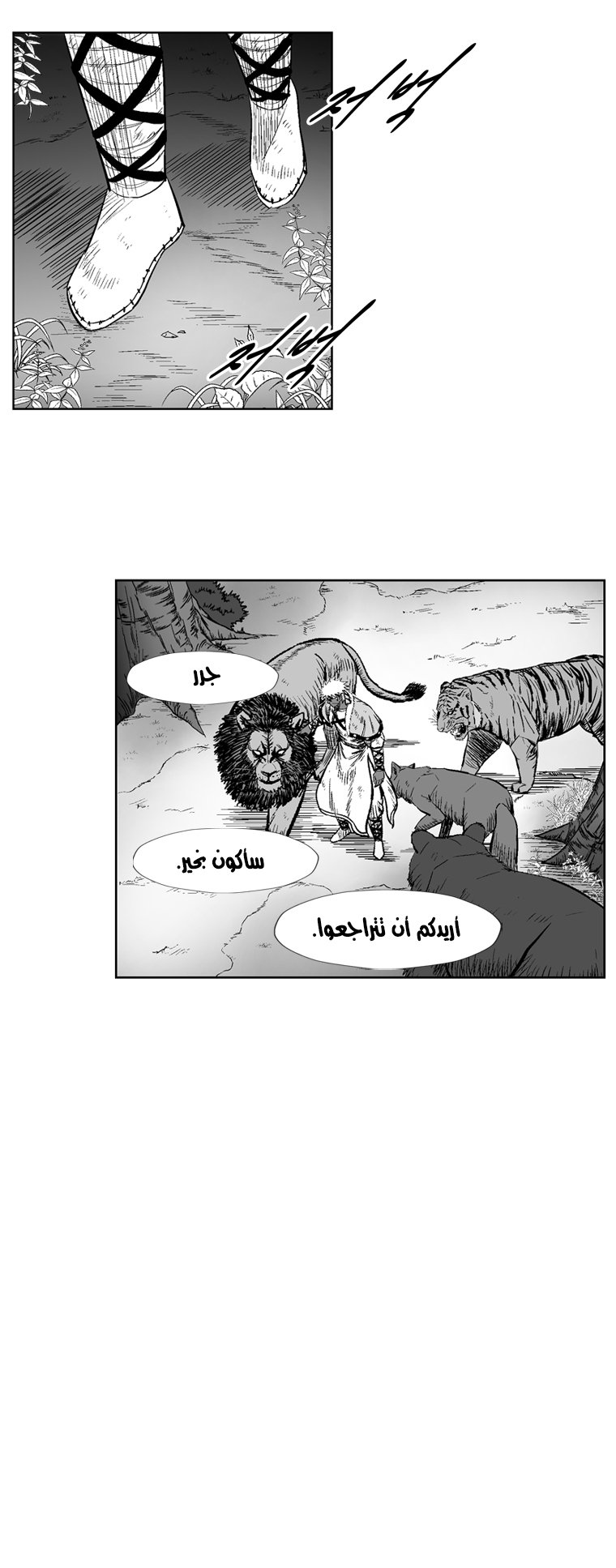 الصفحة 15