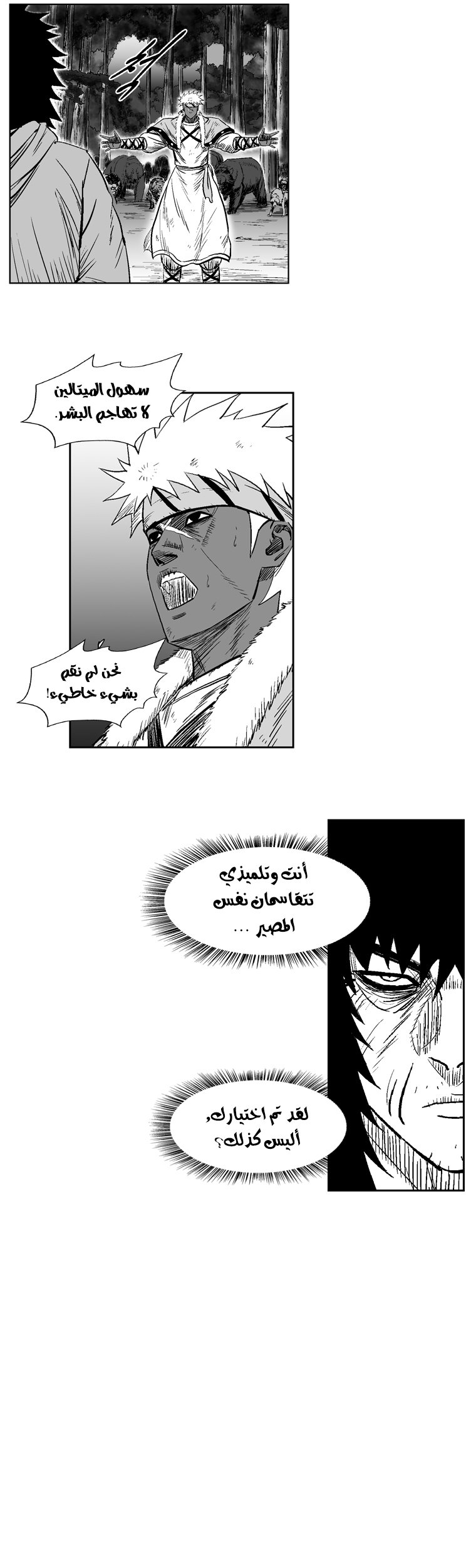 الصفحة 17