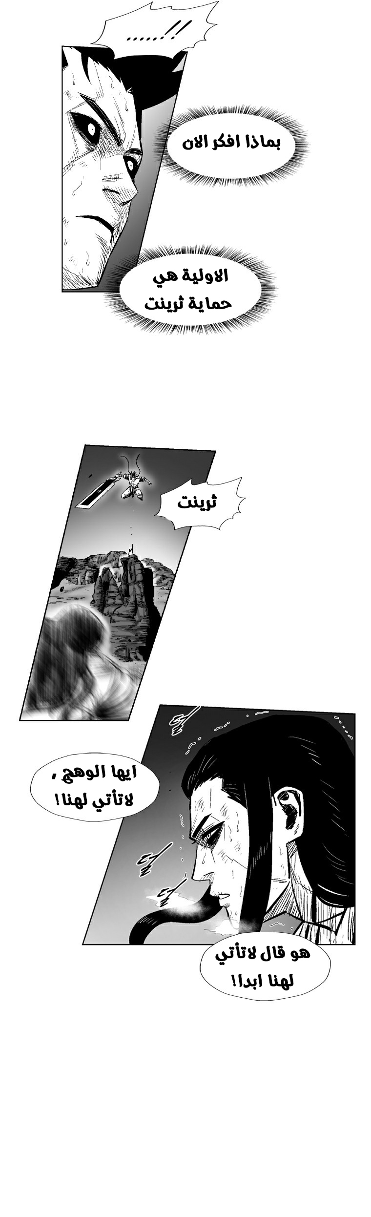 الصفحة 17
