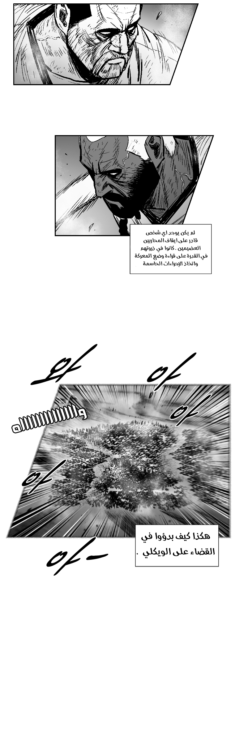 الصفحة 13