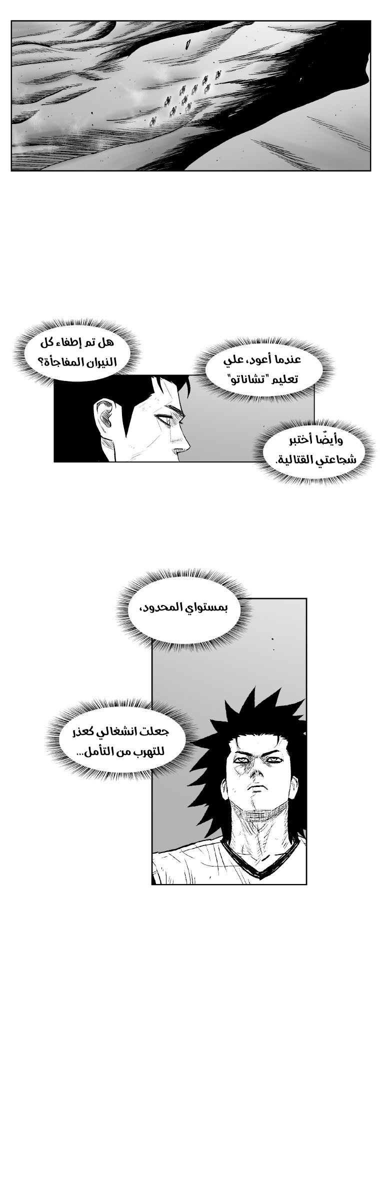 الصفحة 17