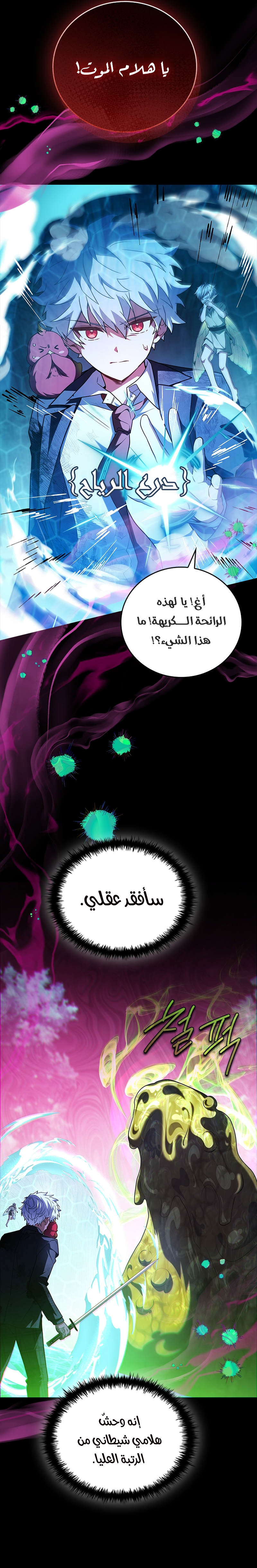 الصفحة 13
