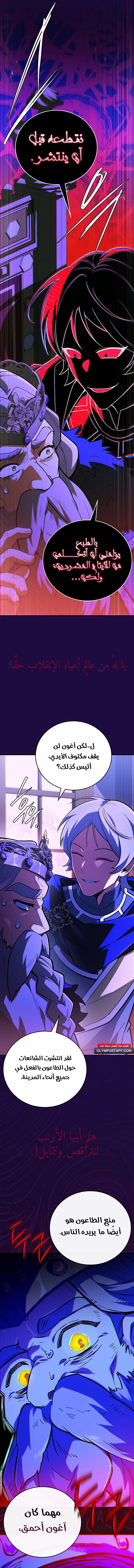 الصفحة 17
