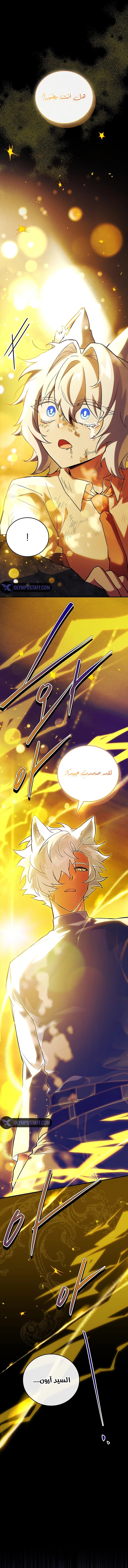 الصفحة 21