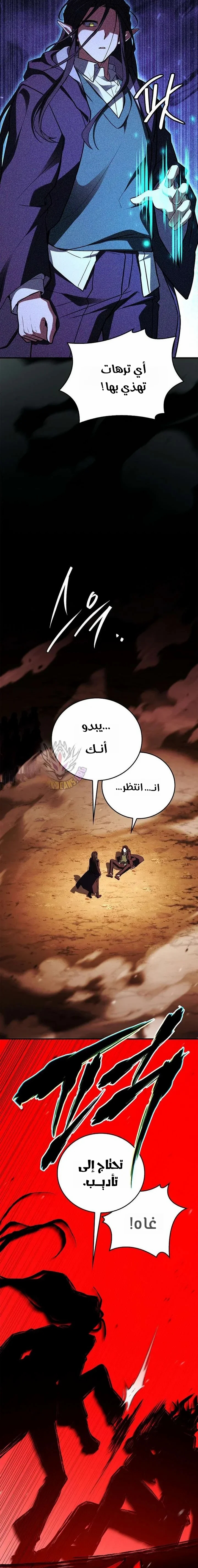 الصفحة 13