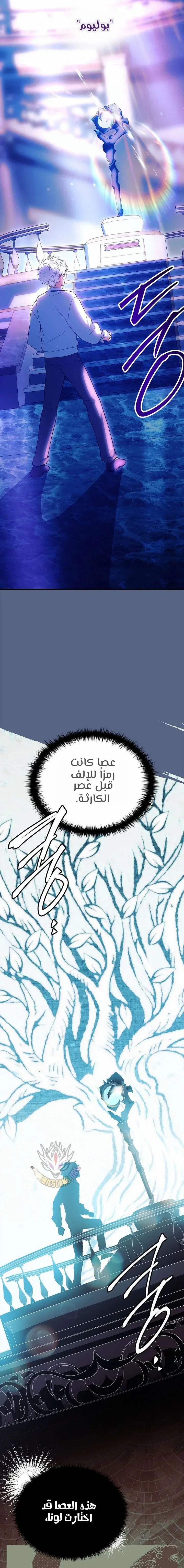 الصفحة 31