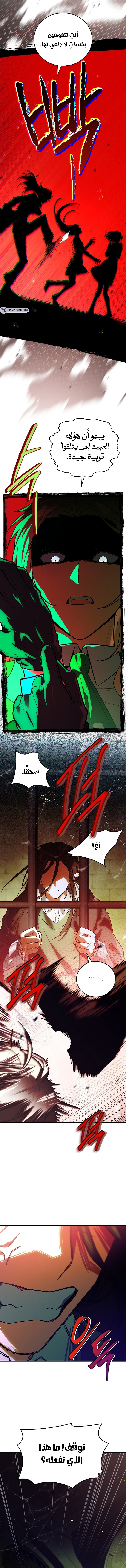 الصفحة 11