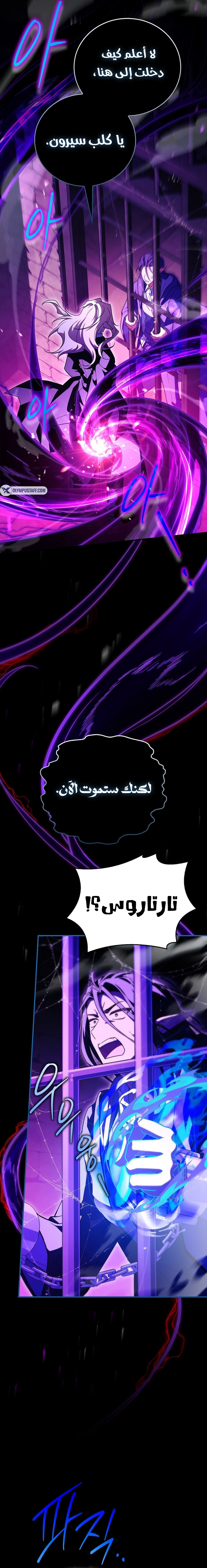 الصفحة 13