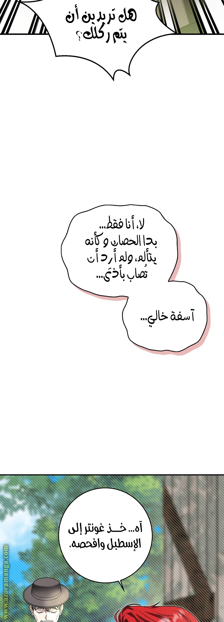 الصفحة 23