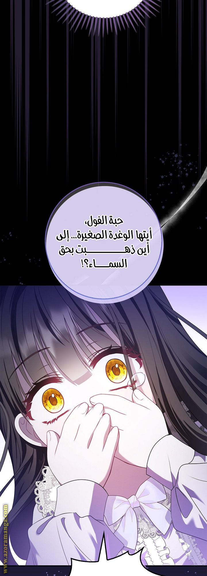 الصفحة 20