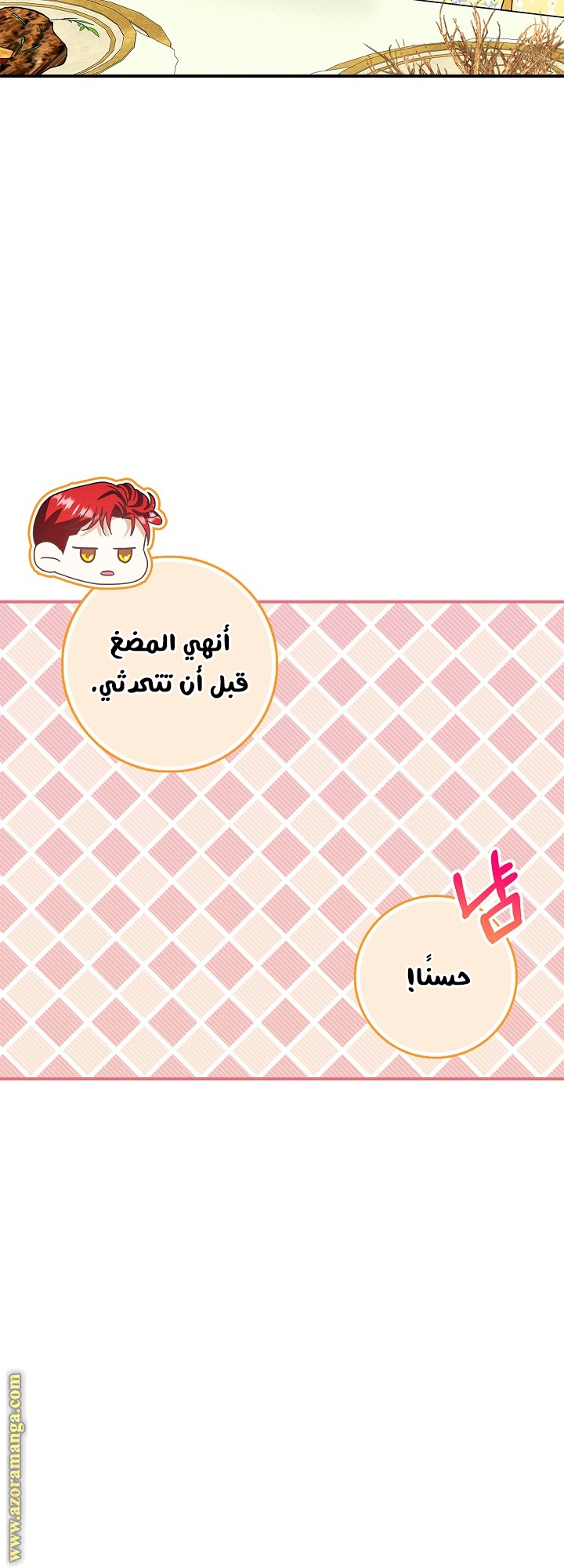 الصفحة 25