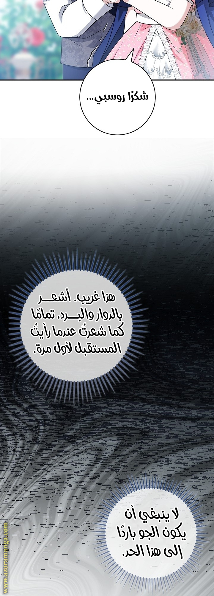 الصفحة 26