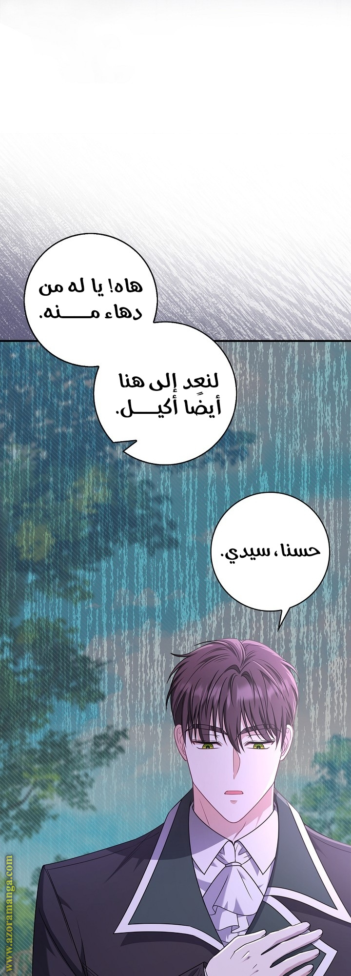 الصفحة 31