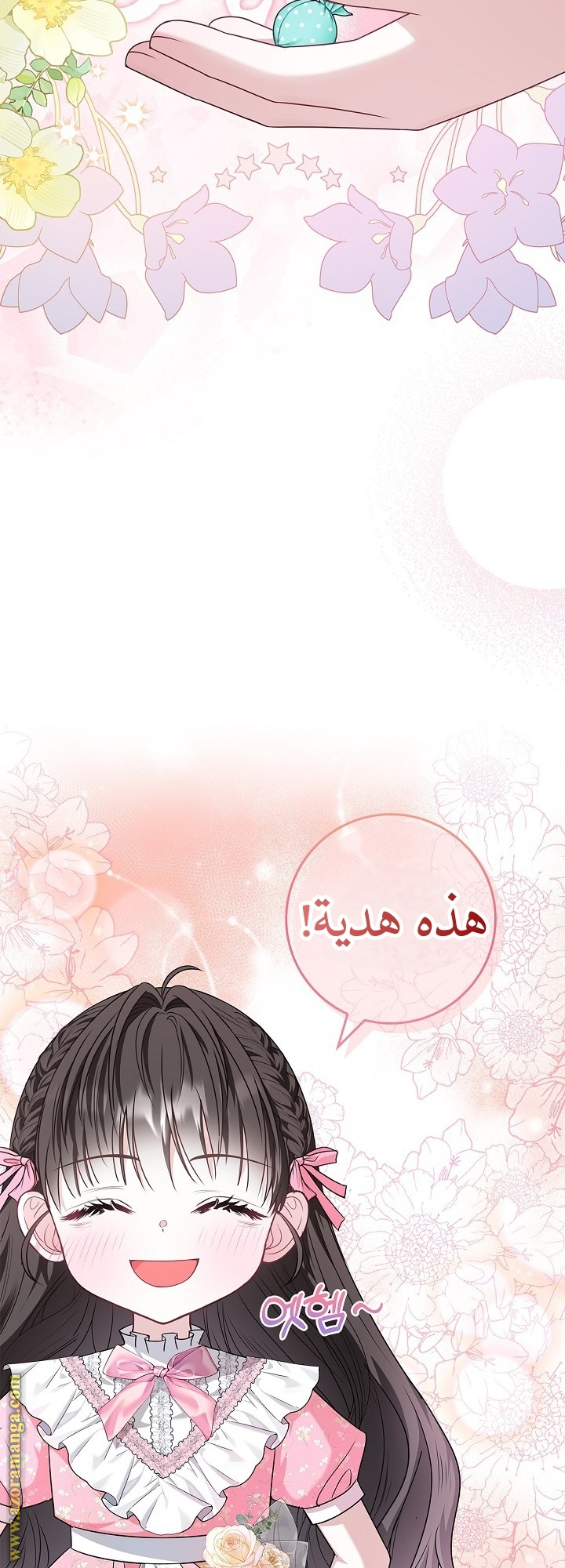 الصفحة 41