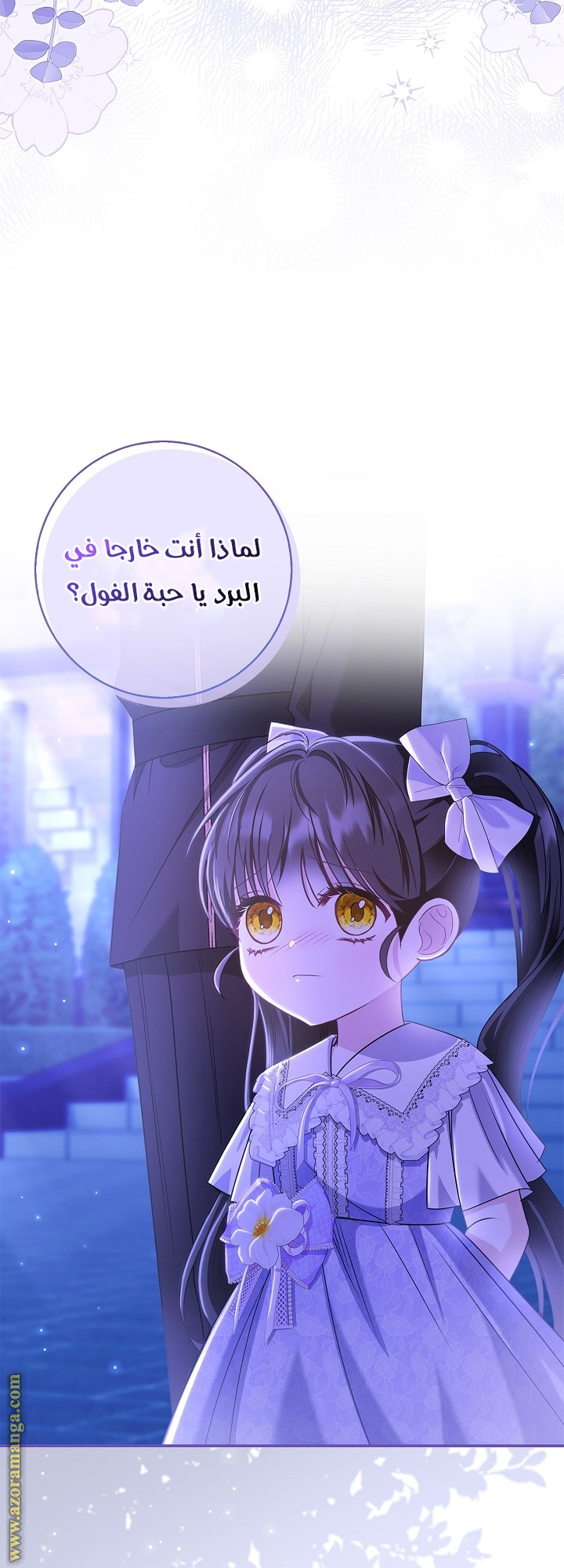 الصفحة 41