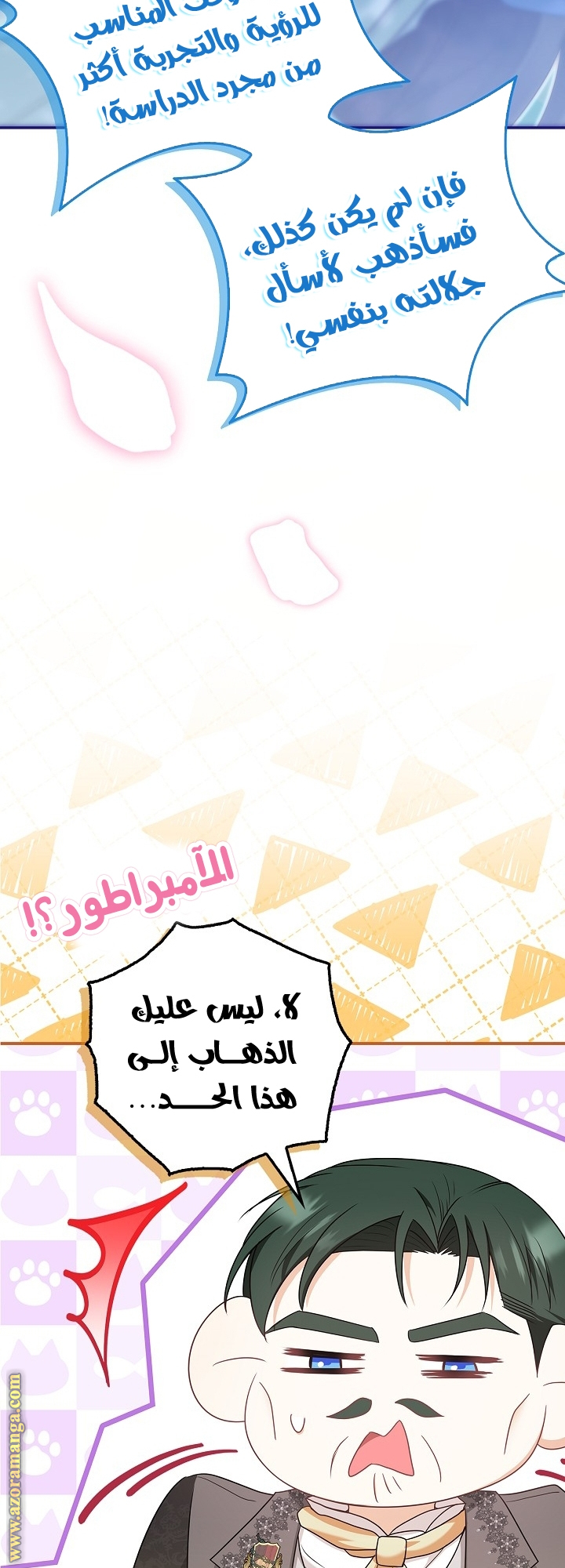 الصفحة 20
