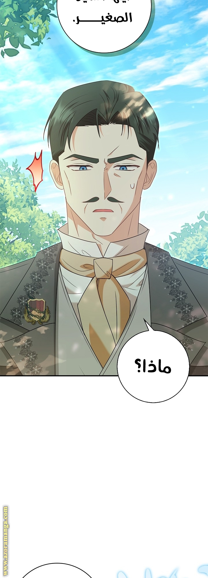 الصفحة 29