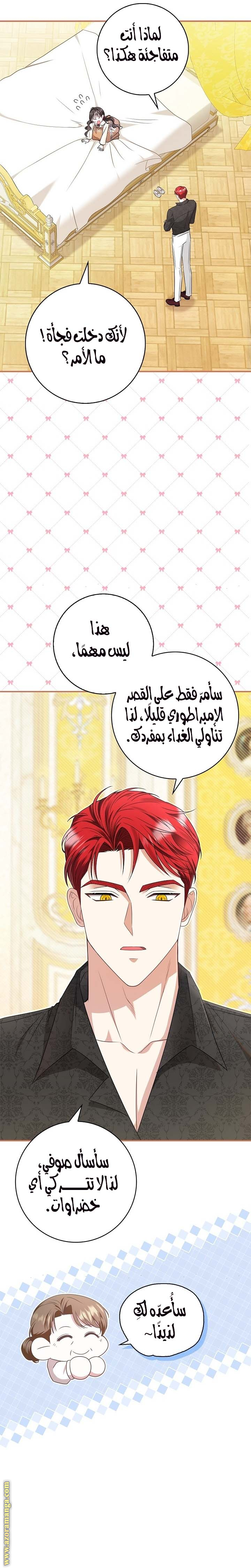 الصفحة 14
