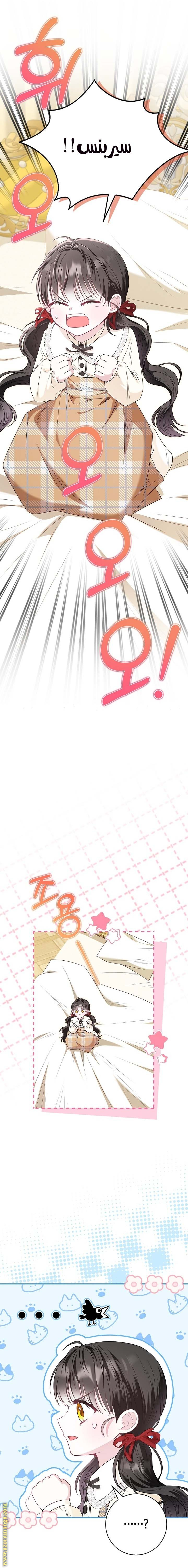 الصفحة 23