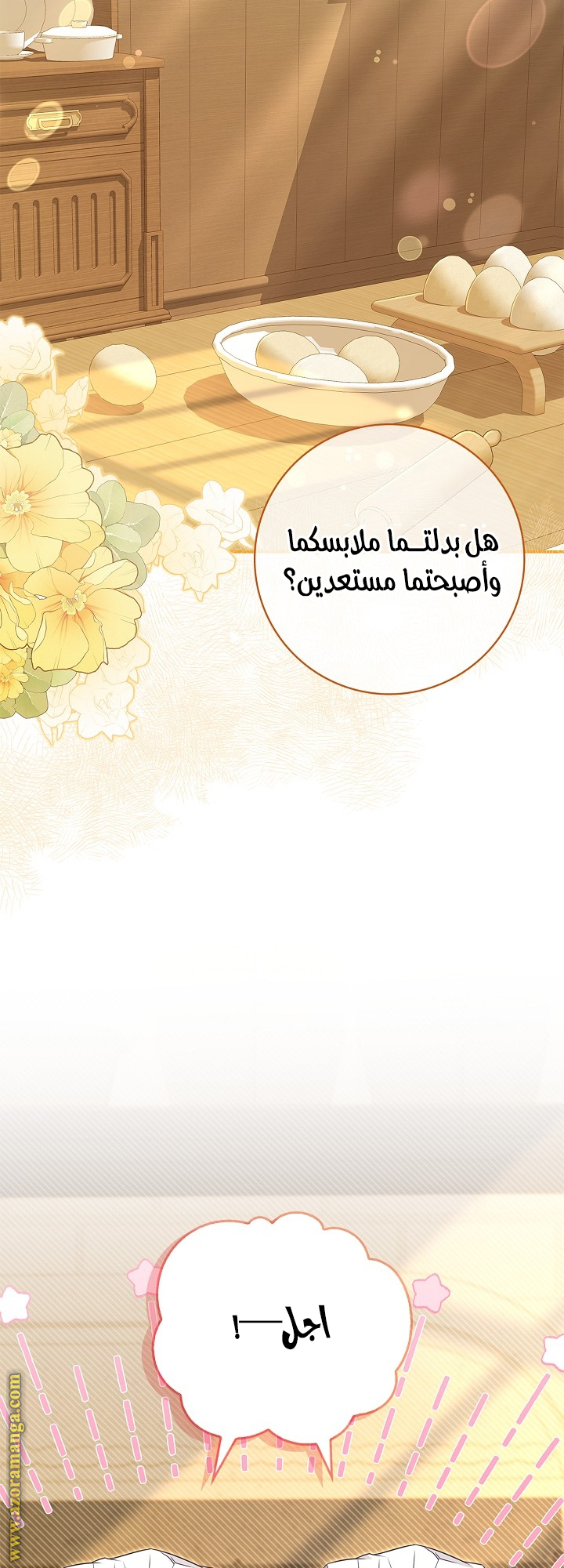 الصفحة 13