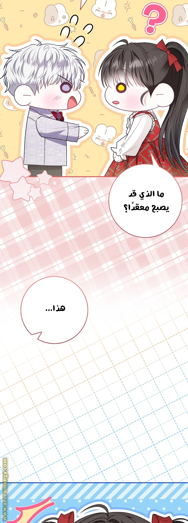 الصفحة 17