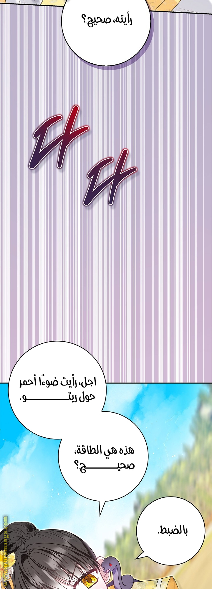 الصفحة 62