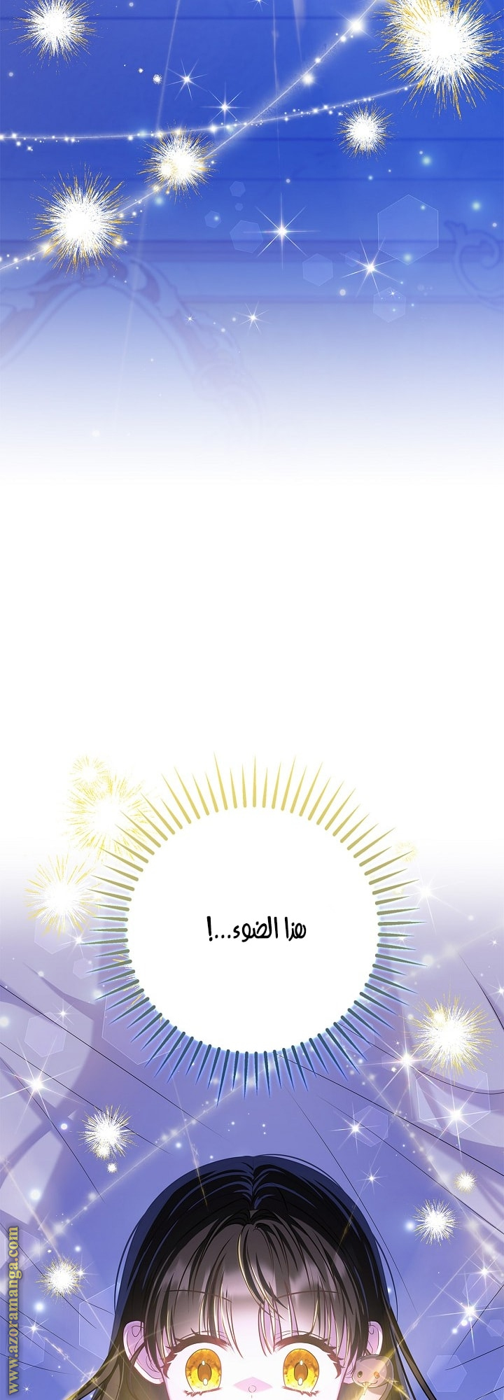 الصفحة 74