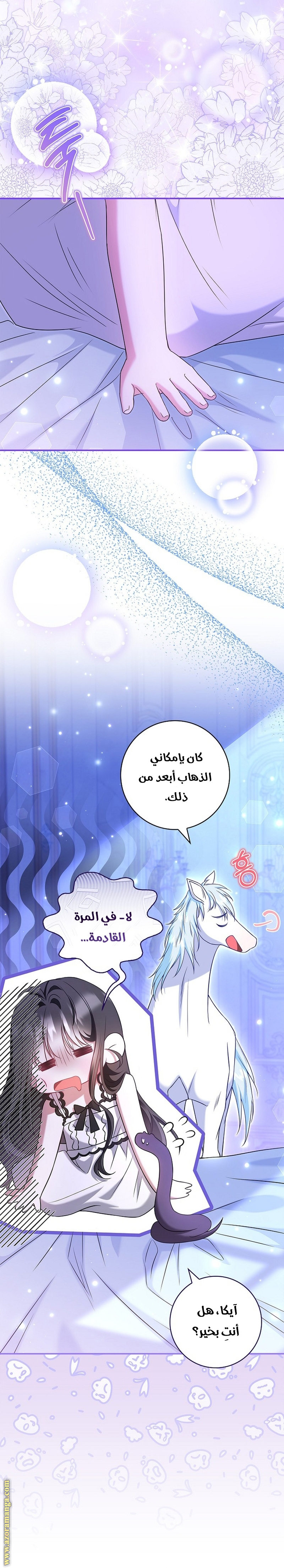 الصفحة 7