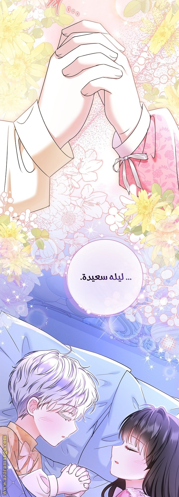 الصفحة 29